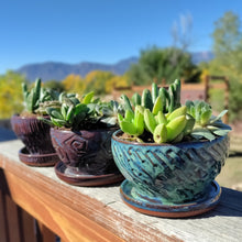 Load image into Gallery viewer, Little green planter