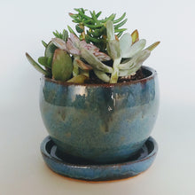 Load image into Gallery viewer, Planter -blue w/ tiger stripes
