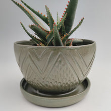Load image into Gallery viewer, Green mountain planter