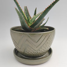 Load image into Gallery viewer, Green mountain planter