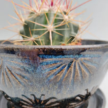 Load image into Gallery viewer, Dark blue sparkly little planter