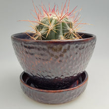 Load image into Gallery viewer, Groovy planter w/ cool glaze