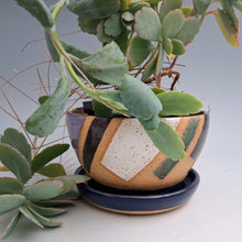 Load image into Gallery viewer, Geometric Planter -dark blue base
