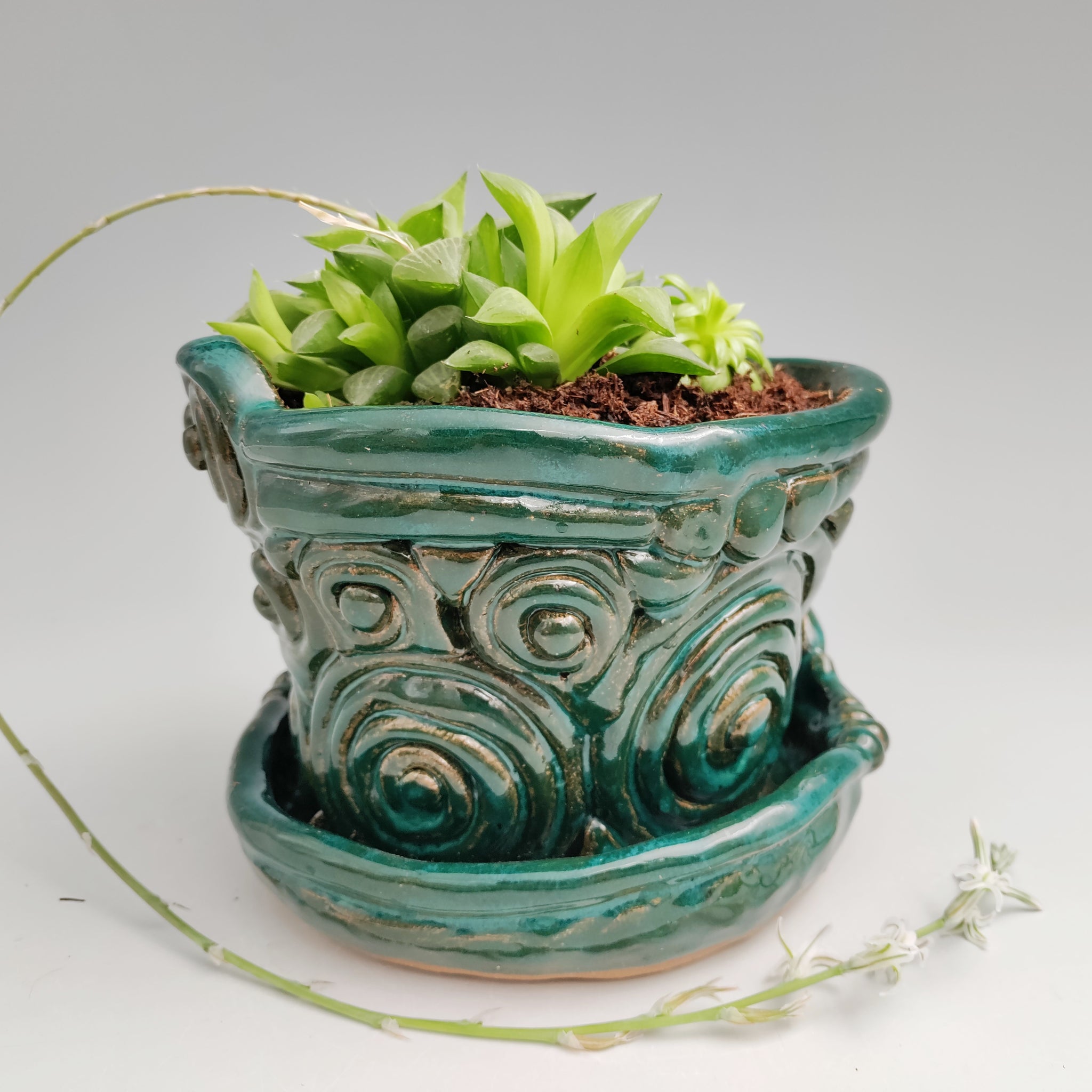 coil plant pot Emerald green coil planter