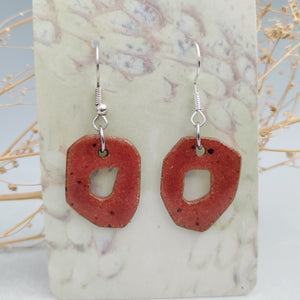 Funky salmon earrings