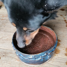 Load image into Gallery viewer, Bronze &amp; blue dog bowl
