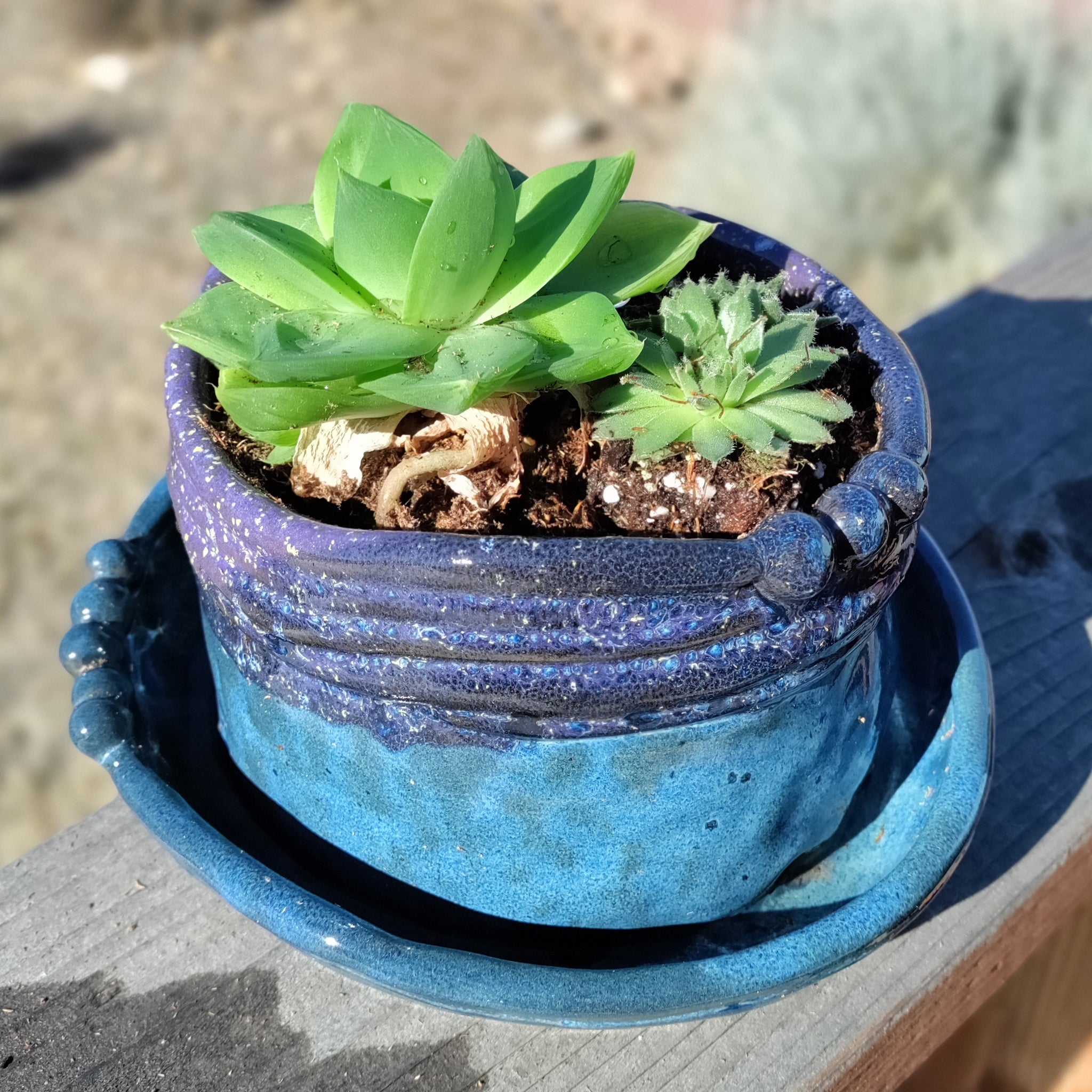 coil pot planter Dark blue & violet coil planter – Pottery by DINA