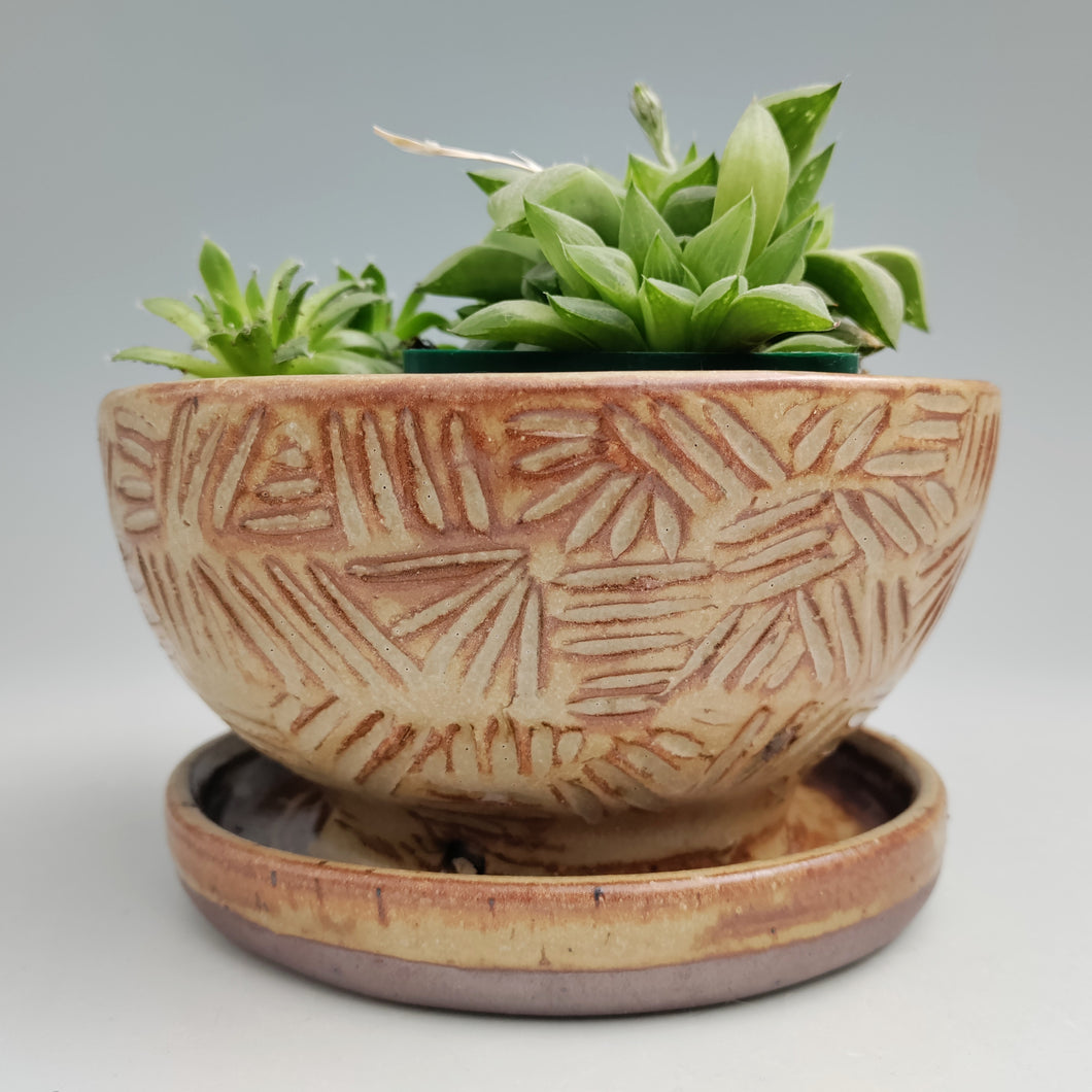 Chai sienna planter