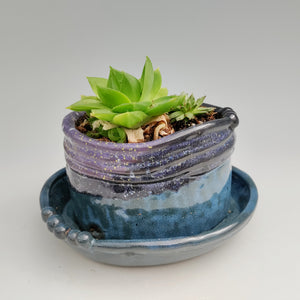 Dark blue & violet coil planter