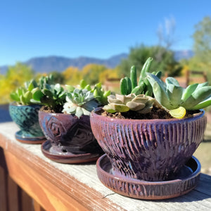 Little purple planter