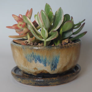 Planter -caramel & sapphire