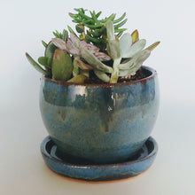 Load image into Gallery viewer, Planter -blue w/ tiger stripes
