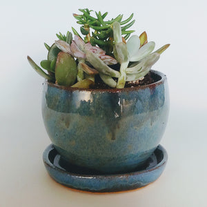 Planter -blue w/ tiger stripes