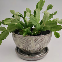 Load image into Gallery viewer, Sage green planter

