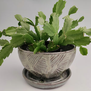 Sage green planter