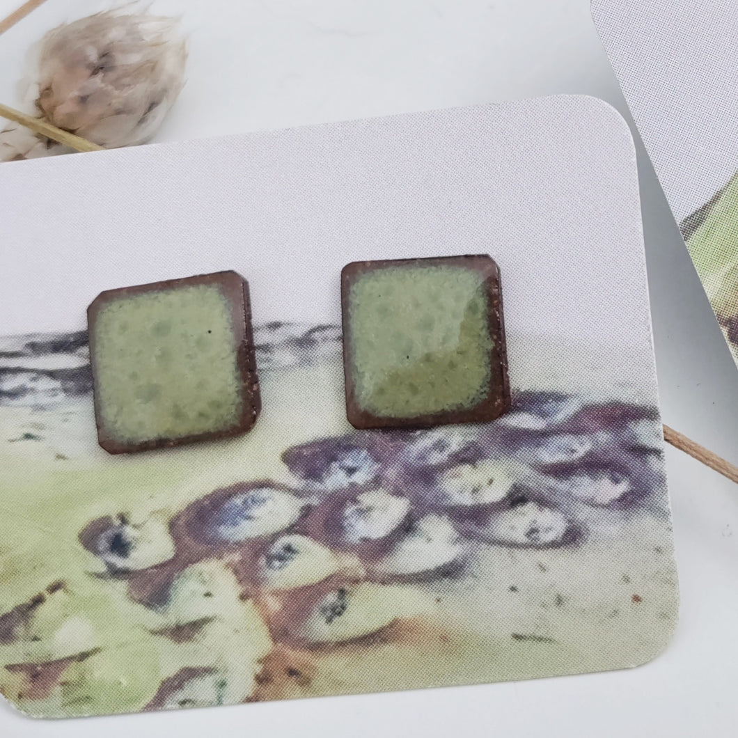 Square kiwi earring studs