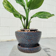 Load image into Gallery viewer, Groovy planter w/ cool glaze
